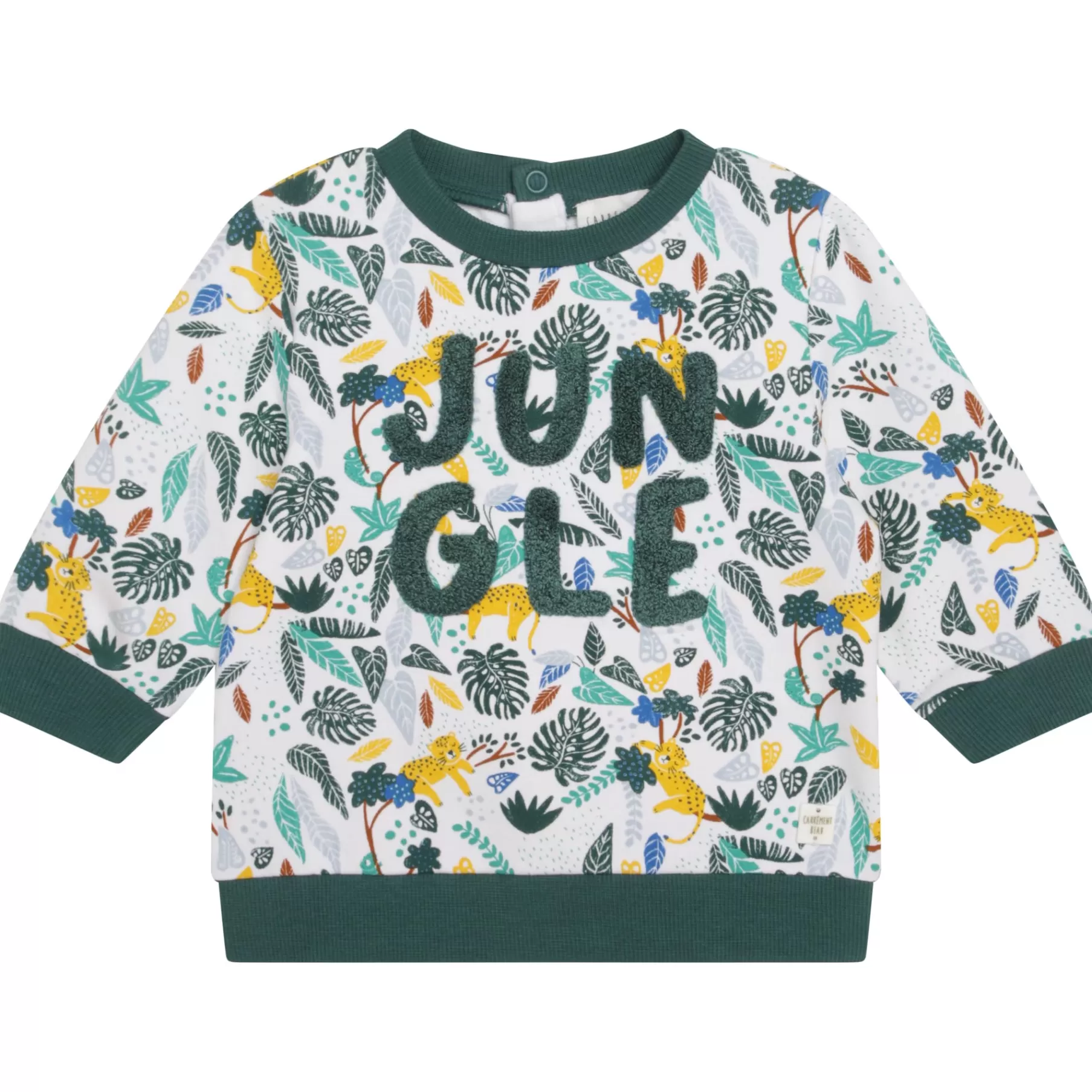 Garçon CARREMENT BEAU Sweat-Shirt Col Rond Imprime