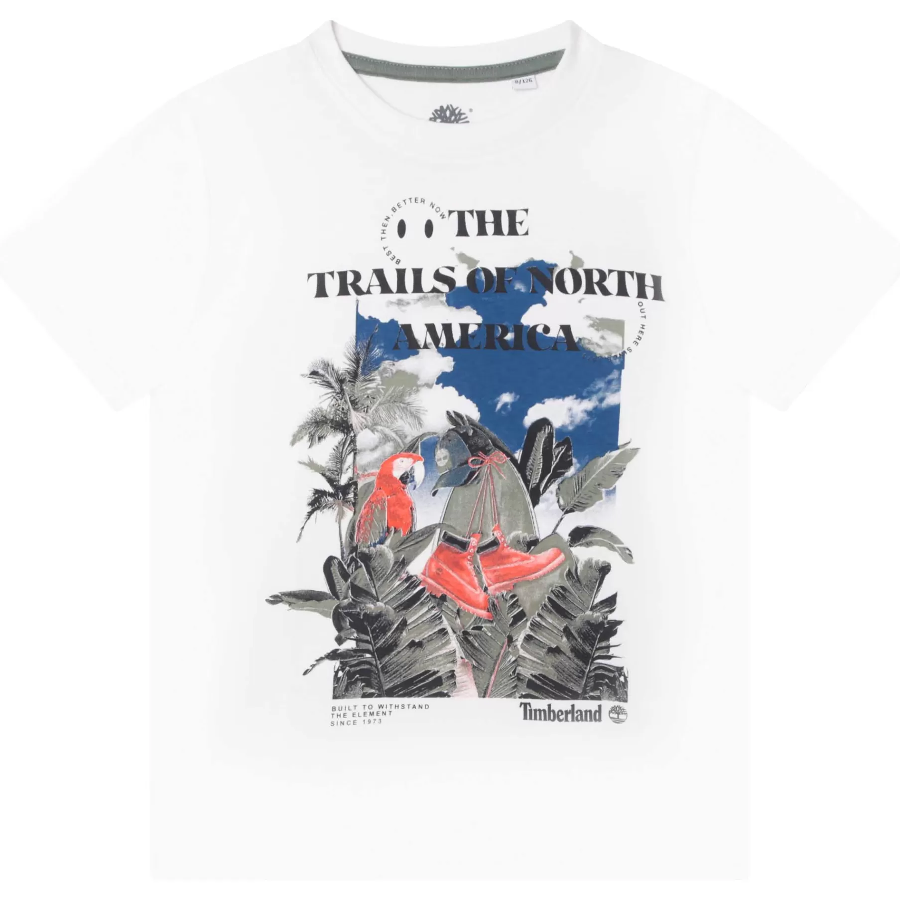 Garçon TIMBERLAND T-Shirt Avec Imprime Nature